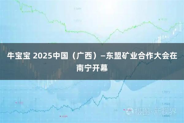 牛宝宝 2025中国（广西）—东盟矿业合作大会在南宁开幕