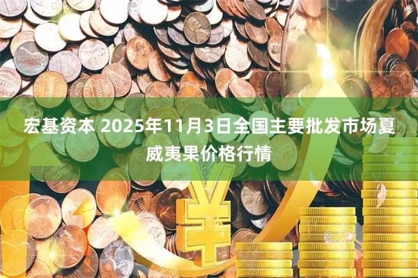 宏基资本 2025年11月3日全国主要批发市场夏威夷果价格行情