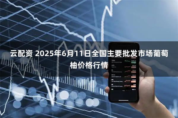 云配资 2025年6月11日全国主要批发市场葡萄柚价格行情