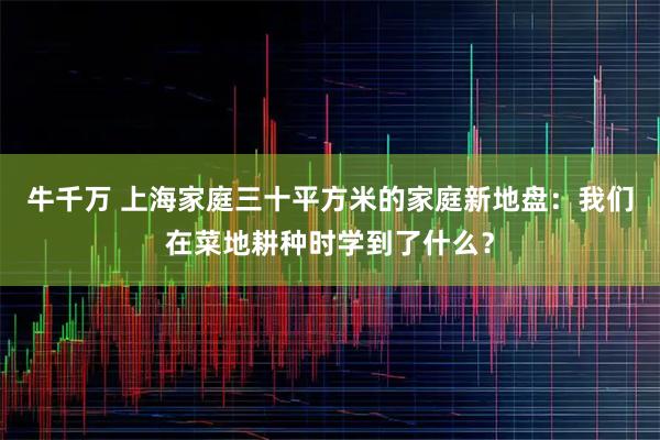 牛千万 上海家庭三十平方米的家庭新地盘：我们在菜地耕种时学到了什么？